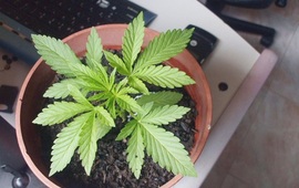 Foto: Imagen Ilustrativa