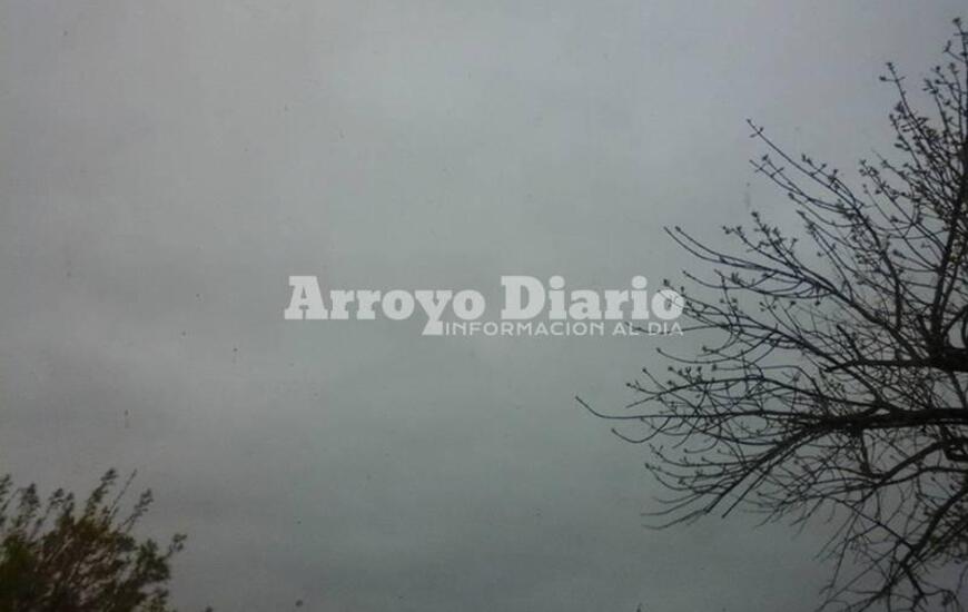 Imagen de Volvé primavera, te perdonamos