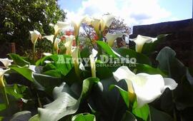 Imagen de La primavera continúa con la amenaza de lluvias