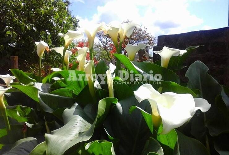 Imagen de La primavera continúa con la amenaza de lluvias