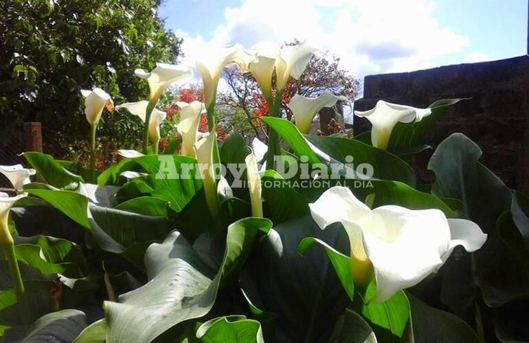 Imagen de La primavera continúa con la amenaza de lluvias