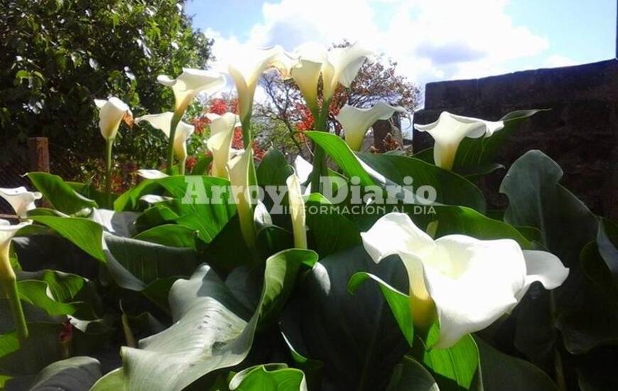 Imagen de La primavera contin&uacute;a con la amenaza de lluvias