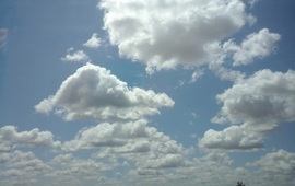 Imagen de La primavera va asomando