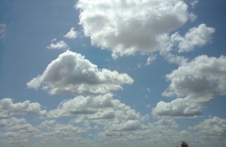 Imagen de La primavera va asomando