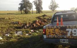 Foto: Gentileza Dirección Prevención de Delitos Rurales