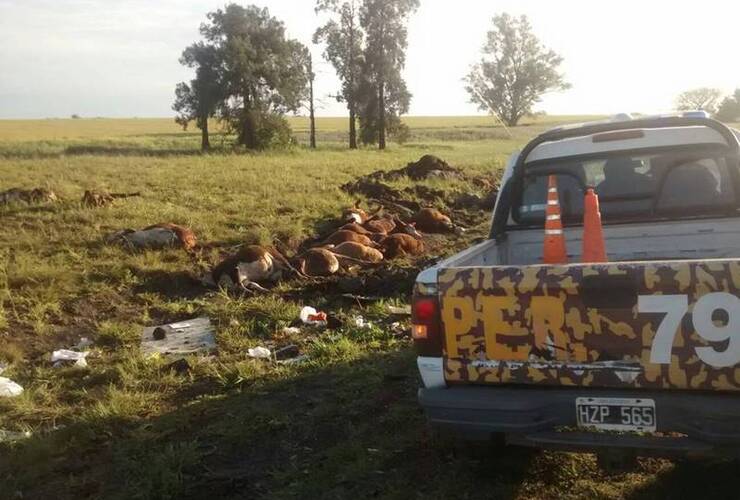 Foto: Gentileza Dirección Prevención de Delitos Rurales