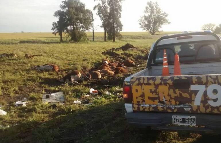 Foto: Gentileza Dirección Prevención de Delitos Rurales