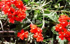 Imagen de A disfrutar de un agradable domingo, antes de que lleguen las lluvias