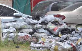 Imagen de Secuestran más de una tonelada de marihuana oculta en cargamento de carbón