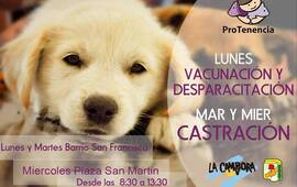Imagen de Vacun&aacute;, desparasit&aacute; y castr&aacute; a tu mascota