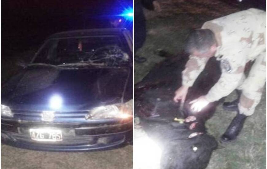 Foto: Gentileza Brigada de Prevención de Delitos Rurales