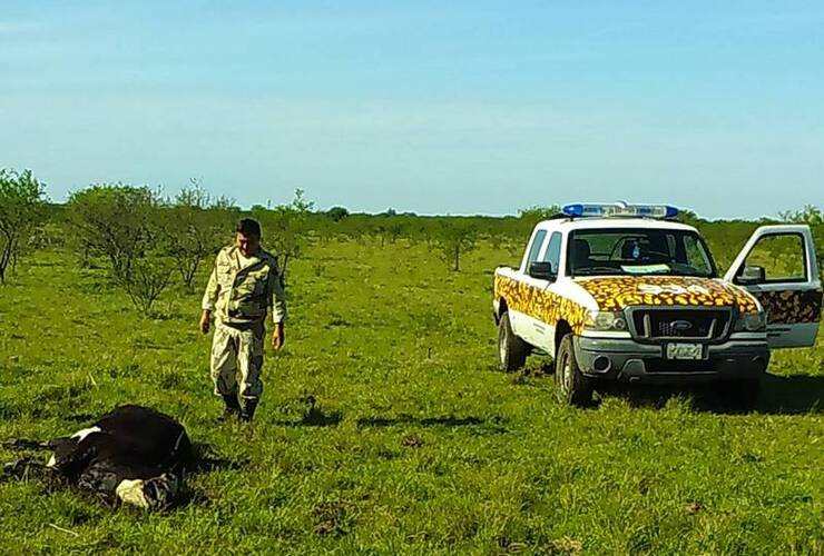 Foto: Gentileza Dirección Prevención de Delitos Rurales