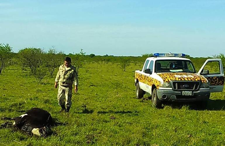 Foto: Gentileza Dirección Prevención de Delitos Rurales