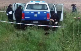 A la vera de la ruta provincial 14 fue hallada la camioneta con el cad&aacute;ver de Delgado en su interior. Foto: Radiovenadotuerto.com