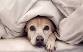 Foto: Imagen Ilustrativa