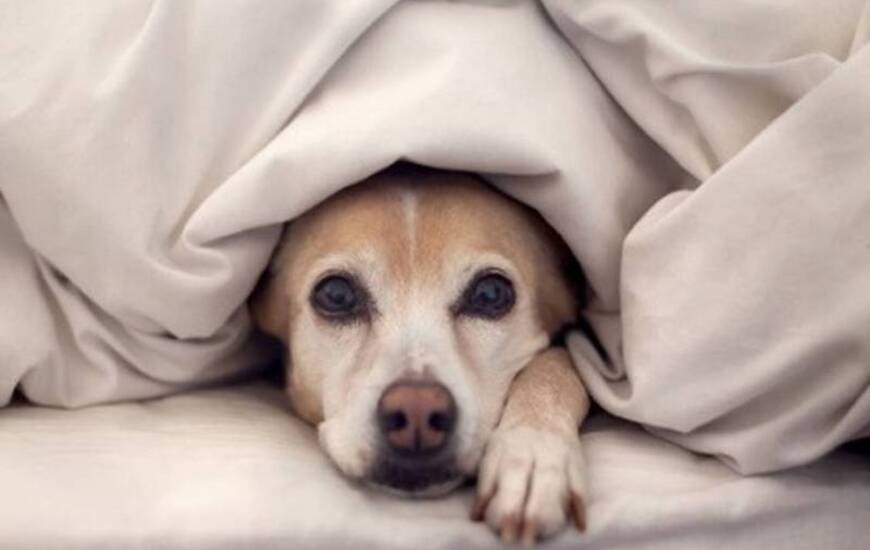 Foto: Imagen Ilustrativa