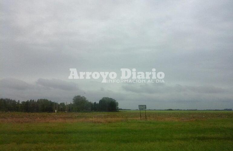 Imagen de ¿Dónde quedó la primavera? Noviembre arrancó frío