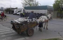 Imagen de Dos ordenanzas que no se cumplen