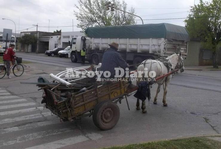 Imagen de Dos ordenanzas que no se cumplen