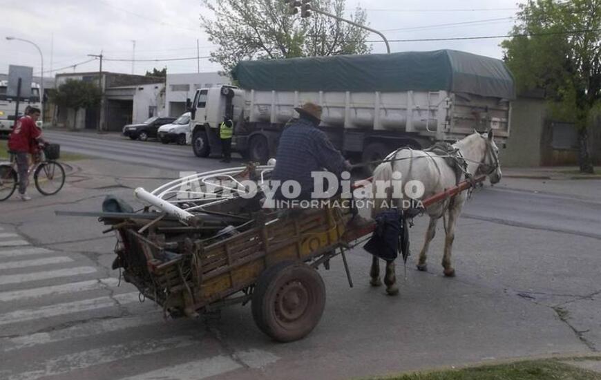 Imagen de Dos ordenanzas que no se cumplen