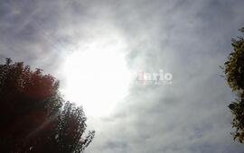 Imagen de Hoy sí la primavera se hará sentir
