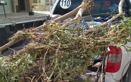 Las imágenes fueron enviadas por la vecina afectada con el hecho.