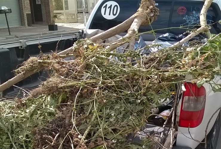 Las imágenes fueron enviadas por la vecina afectada con el hecho.