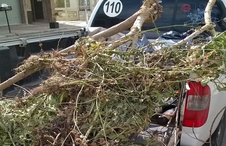 Las imágenes fueron enviadas por la vecina afectada con el hecho.