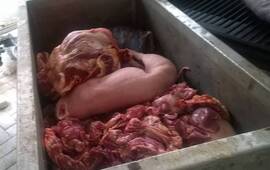 El procedimiento estuvo a cargo de "Los Pumas".