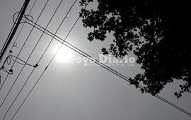 Foto: Gonzalo Torres