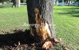 Imagen de En im&aacute;genes, el reclamo de vecinos