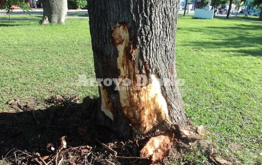 Imagen de En im&aacute;genes, el reclamo de vecinos