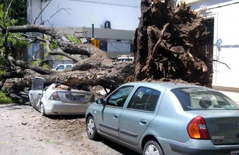 El paraíso se desencajó de la tierra y se desplomó sobre dos vehículos en Francia al 300. Foto: A. Amaya