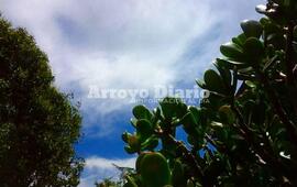 Imagen de Algunas nubes, menos viento y un calorcito que vuelve