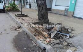 Foto: Jorge Alberto Cuello