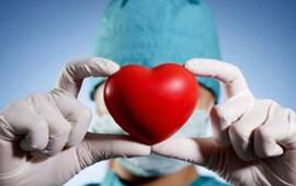 Foto: Imagen Ilustrativa