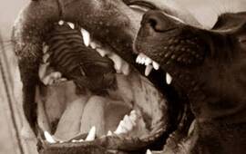 Foto: Imagen Ilustrativa