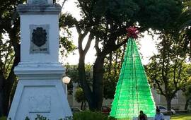 Imagen de Se terminó de armar el árbol navideño