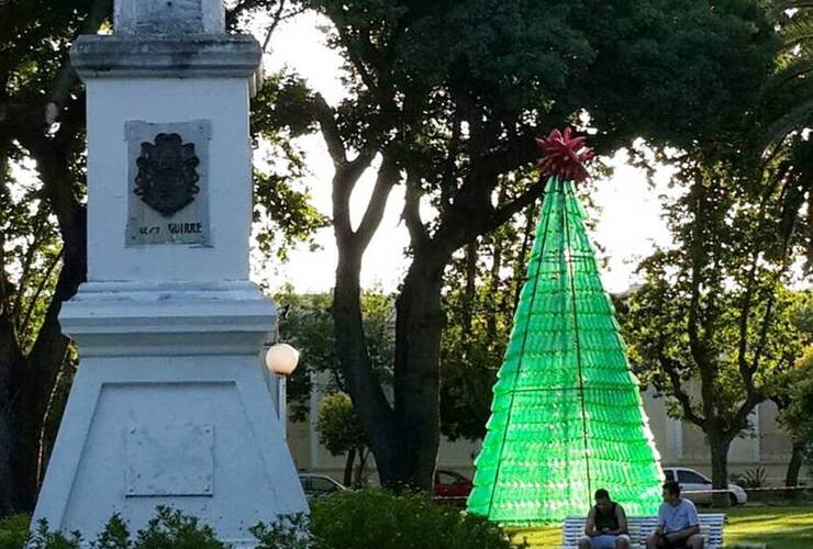 Imagen de Se terminó de armar el árbol navideño