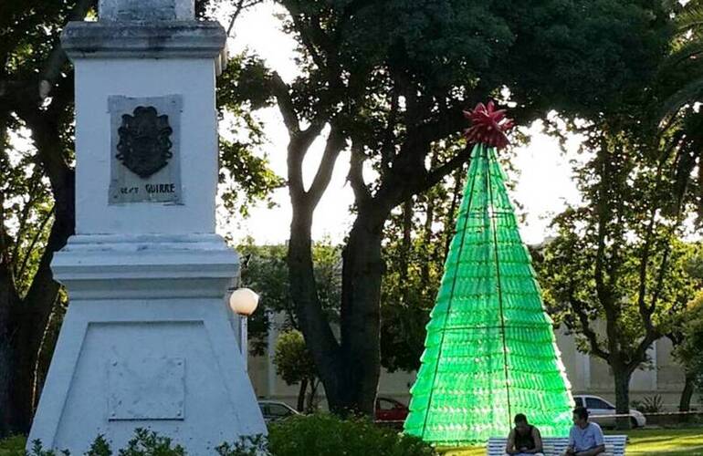 Imagen de Se terminó de armar el árbol navideño