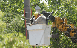 Foto: Enrique Alfaro