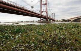 La ciudad de Santa Fe está siendo amenazada por el avance de las aguas del Paraná.
