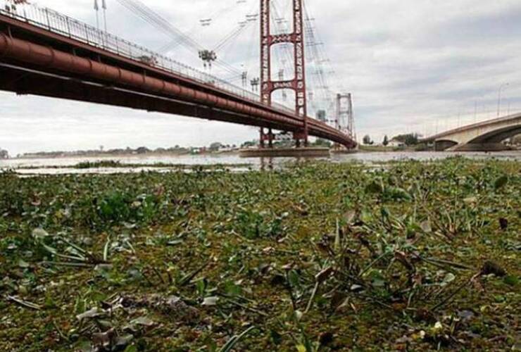 La ciudad de Santa Fe está siendo amenazada por el avance de las aguas del Paraná.