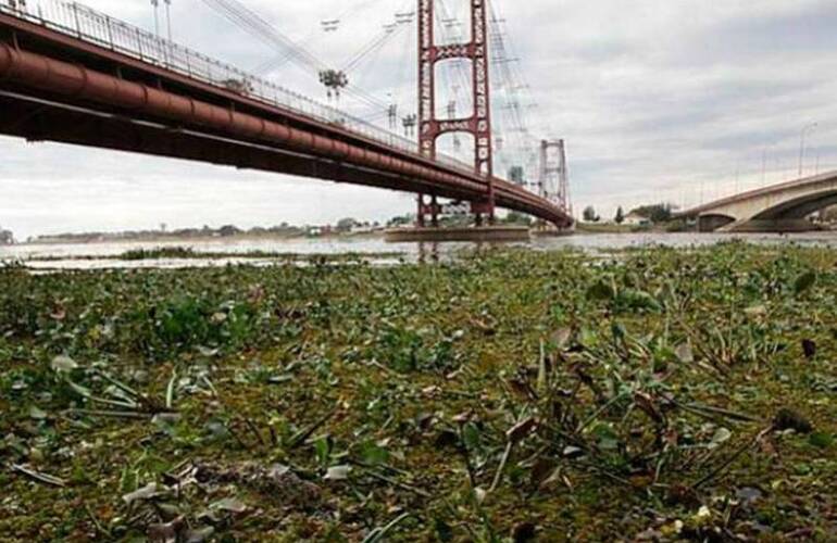 La ciudad de Santa Fe está siendo amenazada por el avance de las aguas del Paraná.