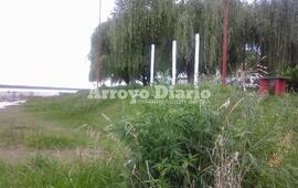 Imagen de Vaciaron los cestos pero falta cortar el pasto