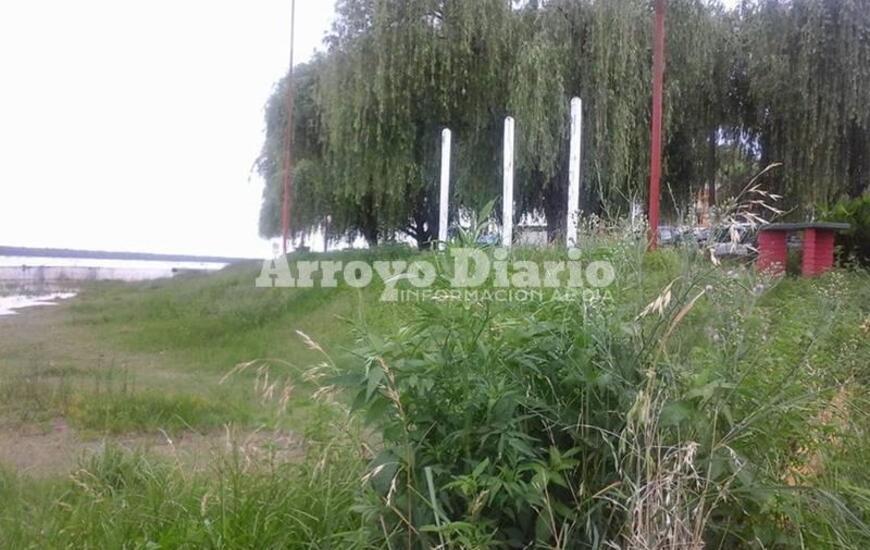 Imagen de Vaciaron los cestos pero falta cortar el pasto