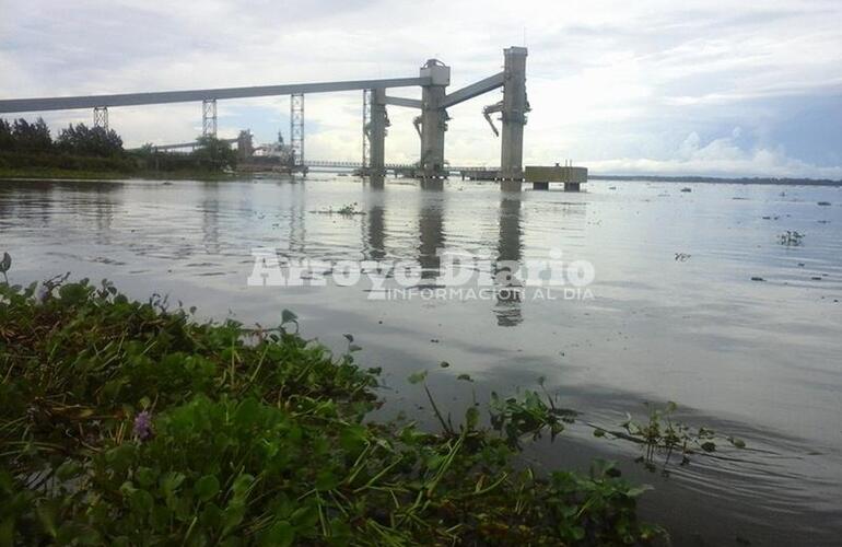 Vista al río desde el puerto de Arroyo Seco.