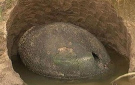 Un caparaz&oacute;n gigante, confundido con un "huevo de dinosaurio" por el trabajador que lo encontr&oacute;, sorprendi&oacute; a vecinos de un campo de Ezeiza.