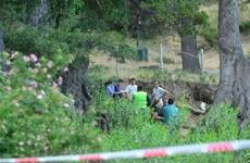 Imagen de Dos niños murieron aplastados por un árbol a orillas del Lago Lacar