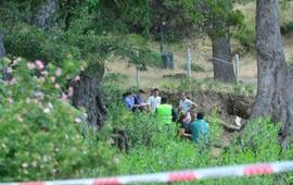 Imagen de Dos niños murieron aplastados por un árbol a orillas del Lago Lacar